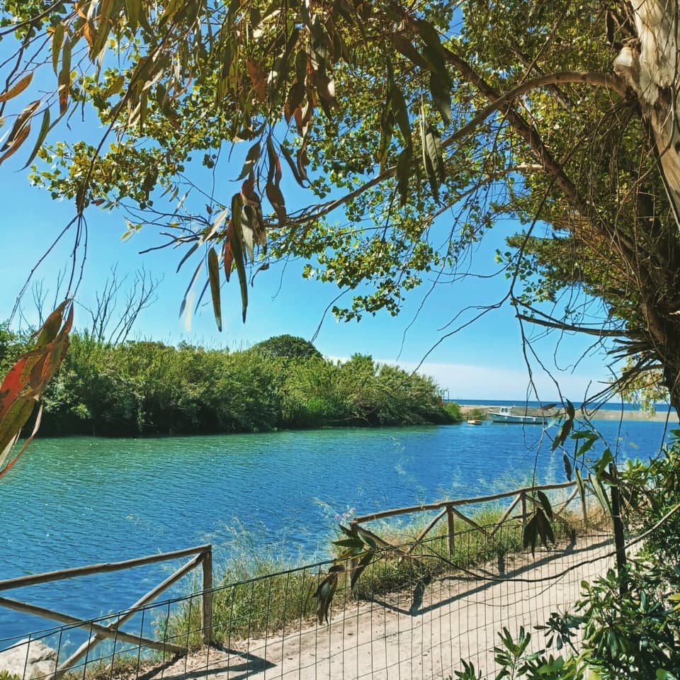 La foce del fiume Mingardo vista dalla riva, tra gli alberi (apre Instagram)